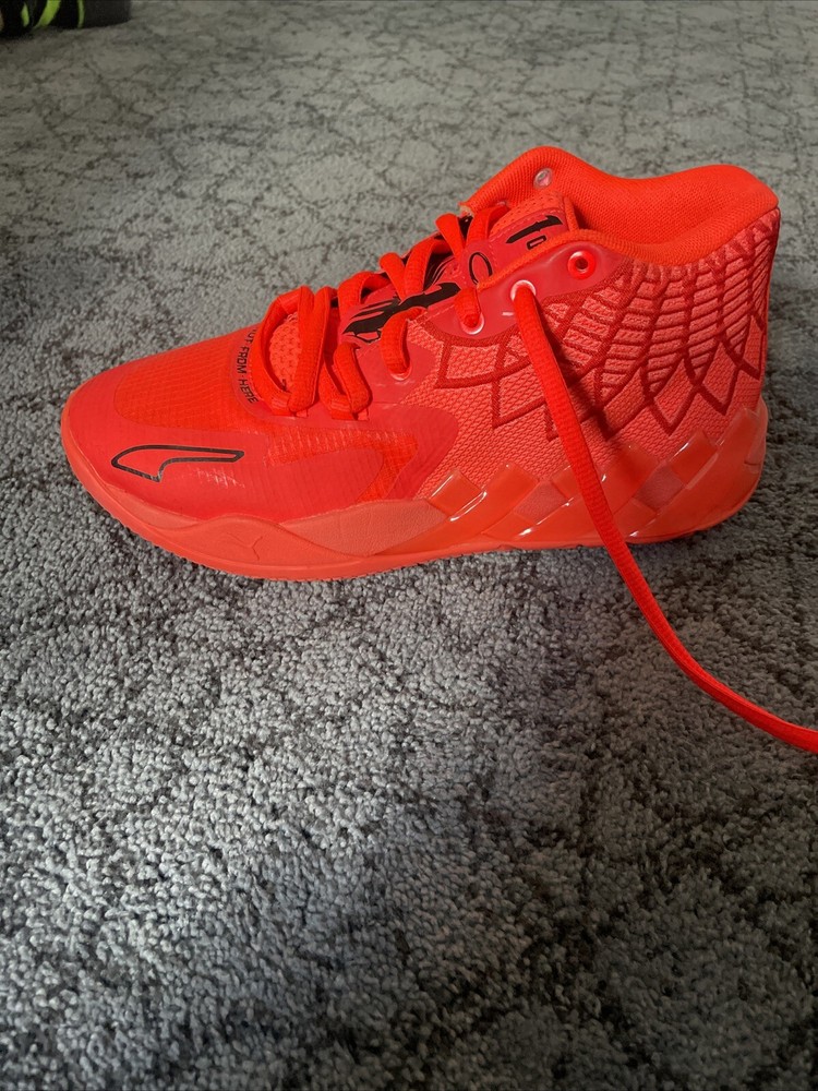 Size 5.5
