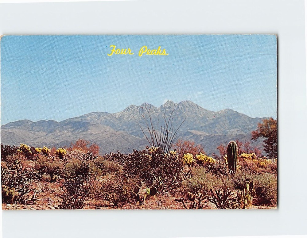 Postcard Four Peaks with Snow Spring Strawberry Cactus Bloom Arizona USA America
