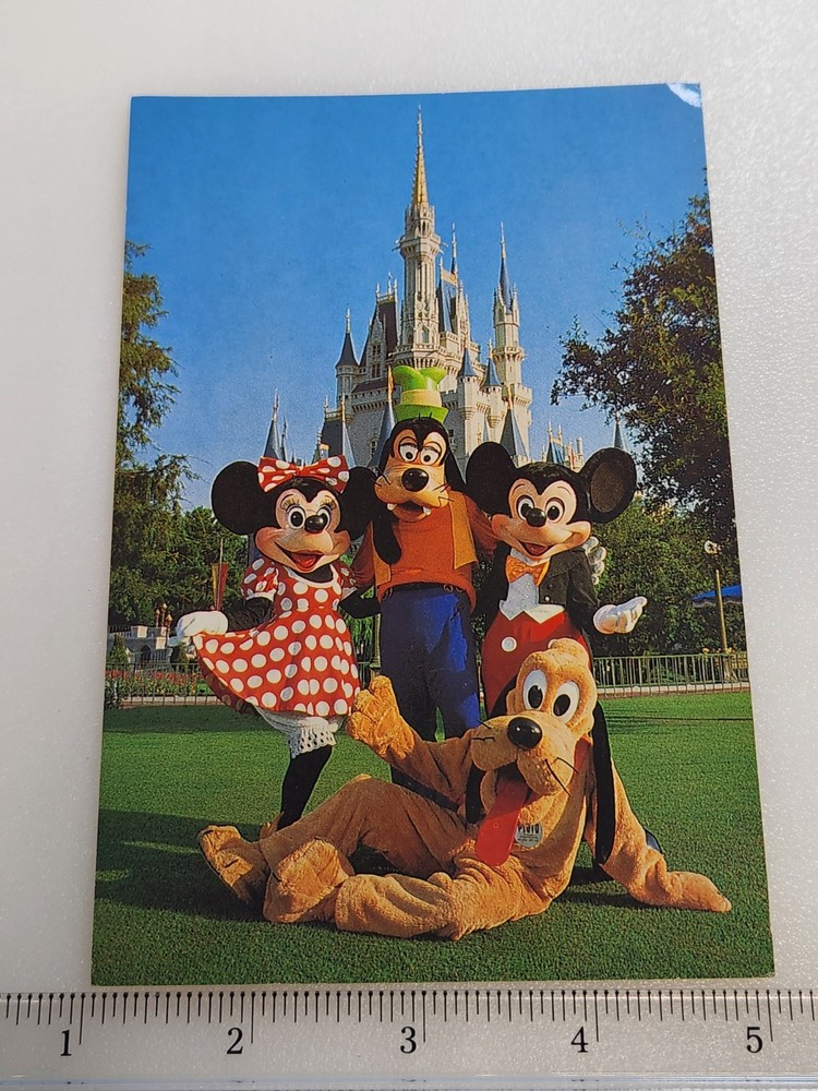 DISNEY WORLD FLORIDA Castle Pluto Mickey Minnie Mouse Goofy Postcard UNPosted