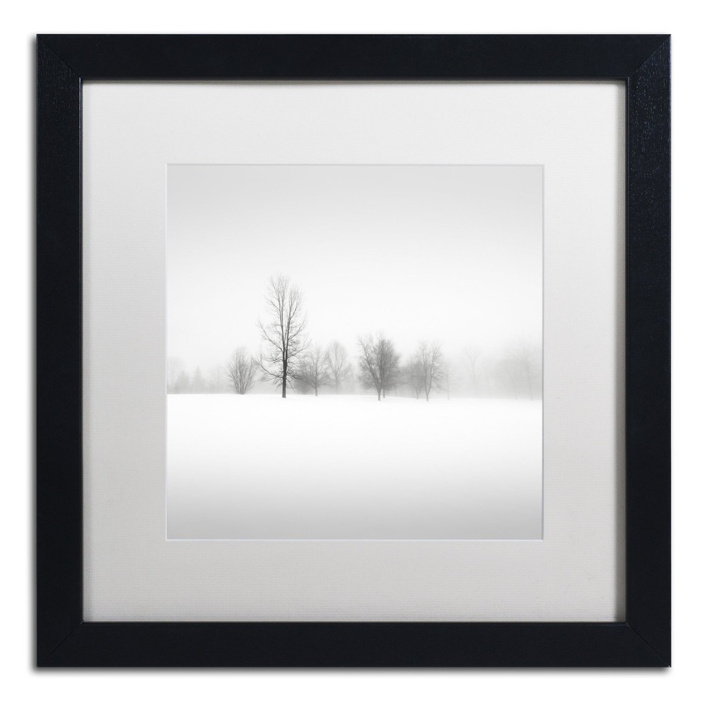 Winter Fog by Dave MacVicar 16x16 White Matte Framed Art