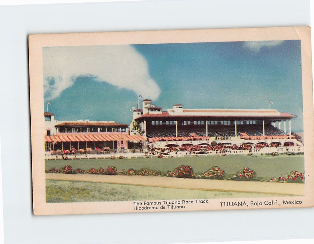 Postcard The Famous Tijuana Race Track Tijuana Mexico