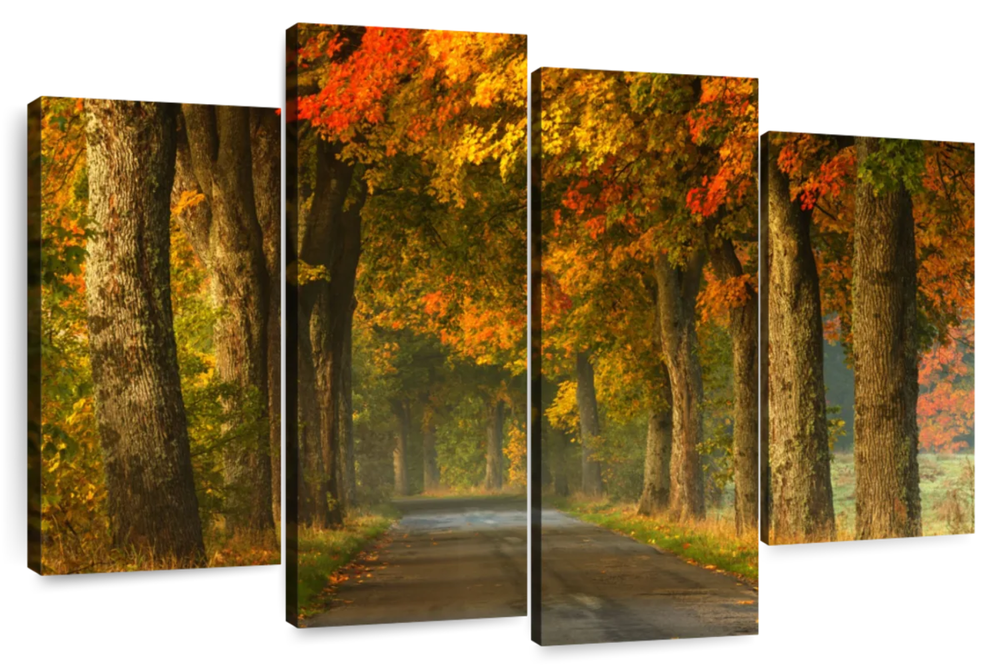 Polish Autumn Road Wall Art