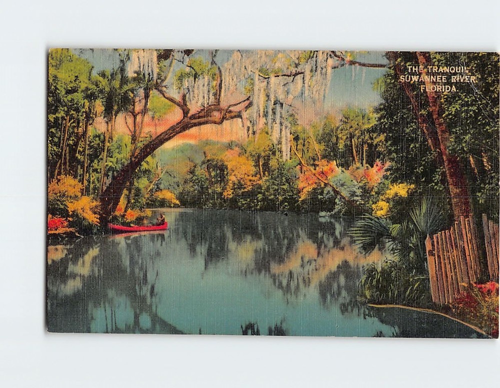 Postcard The Tranquil Suwannee River Florida USA