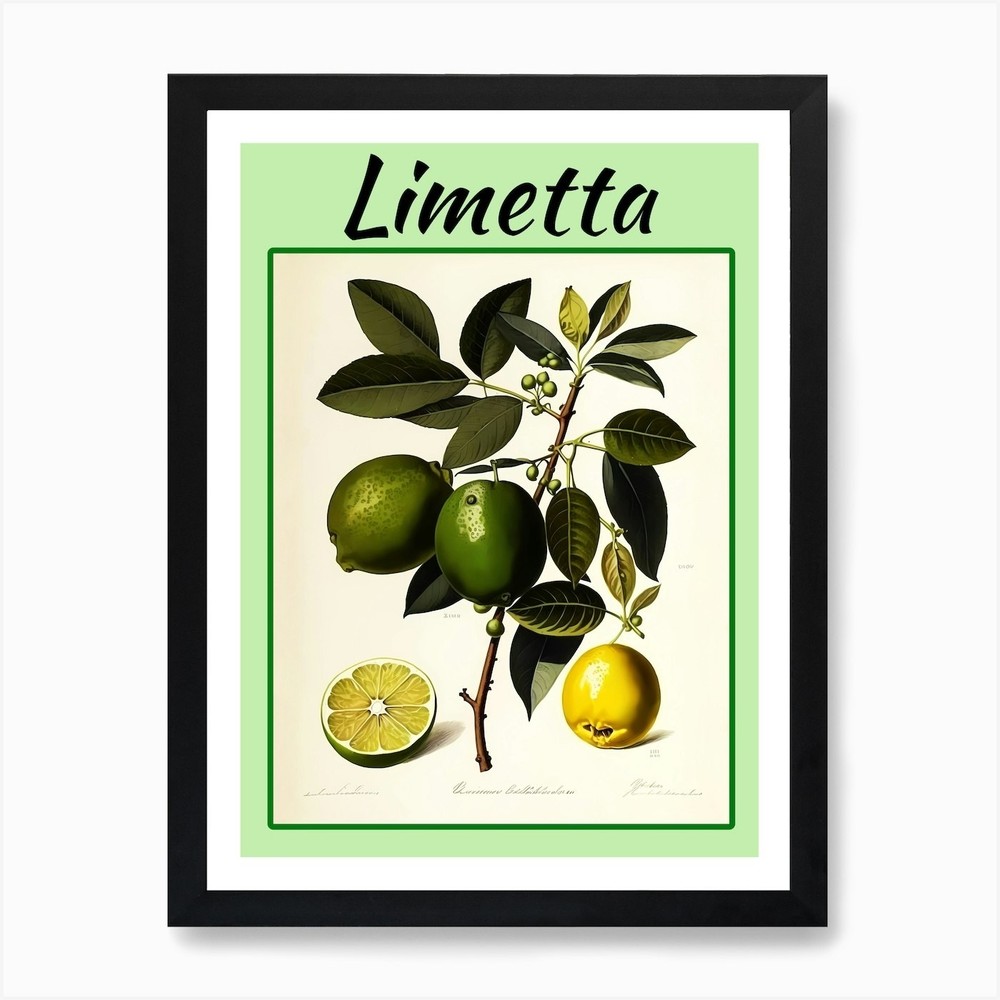 Vintage Citrus Lime Framed Art Print Poster Canvas Wall Decor