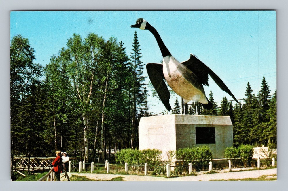 Canada Ontario Wawa The Wild Goose Standard Postal Post Old PC Vintage Postcard