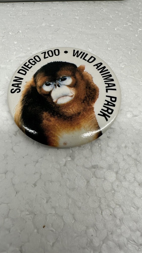 Vintage Golden Monkey San Diego Zoo Wild Animal Park California Button Pinback