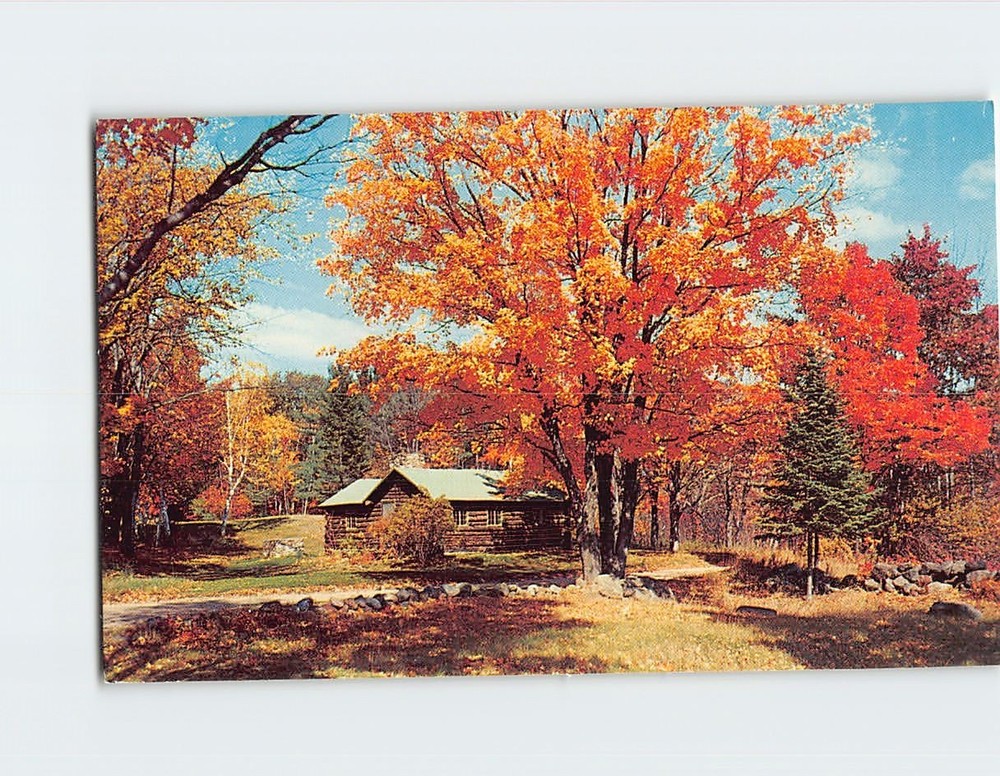Postcard In the Autumn Season in New England
