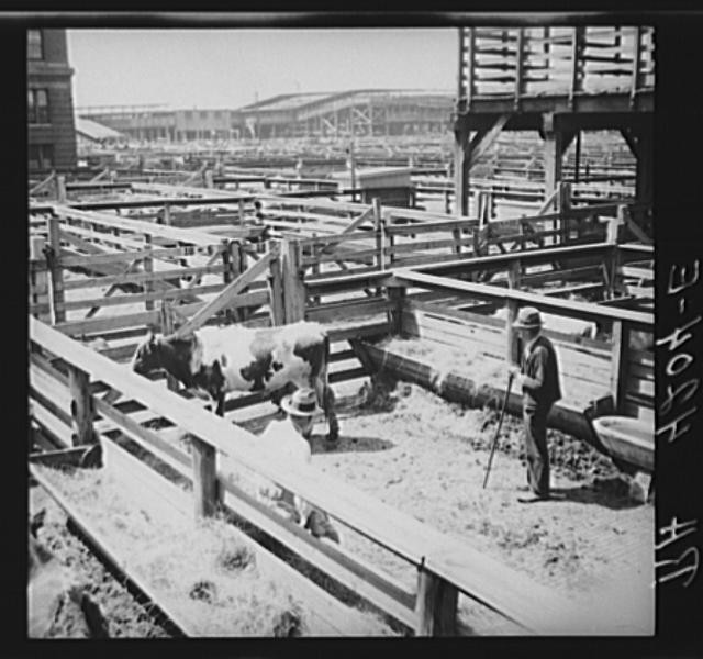 Kansas City,Wyandotte County,Kansas,KS,Farm Security Administration,1936,FSA,4