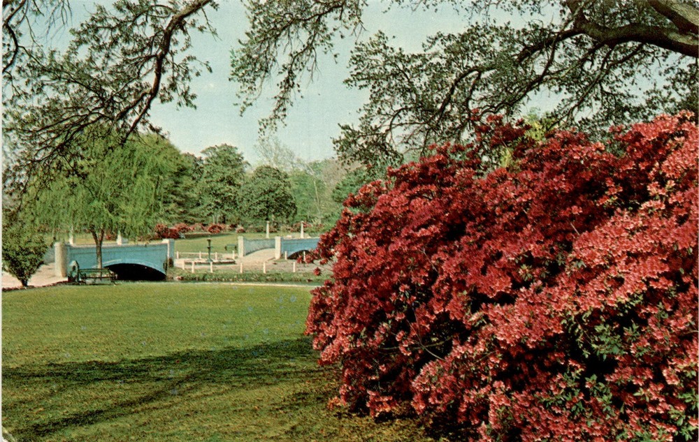 HAMPTON PARK, Charleston, South Carolina, Citadel, Charleston's public Postcard