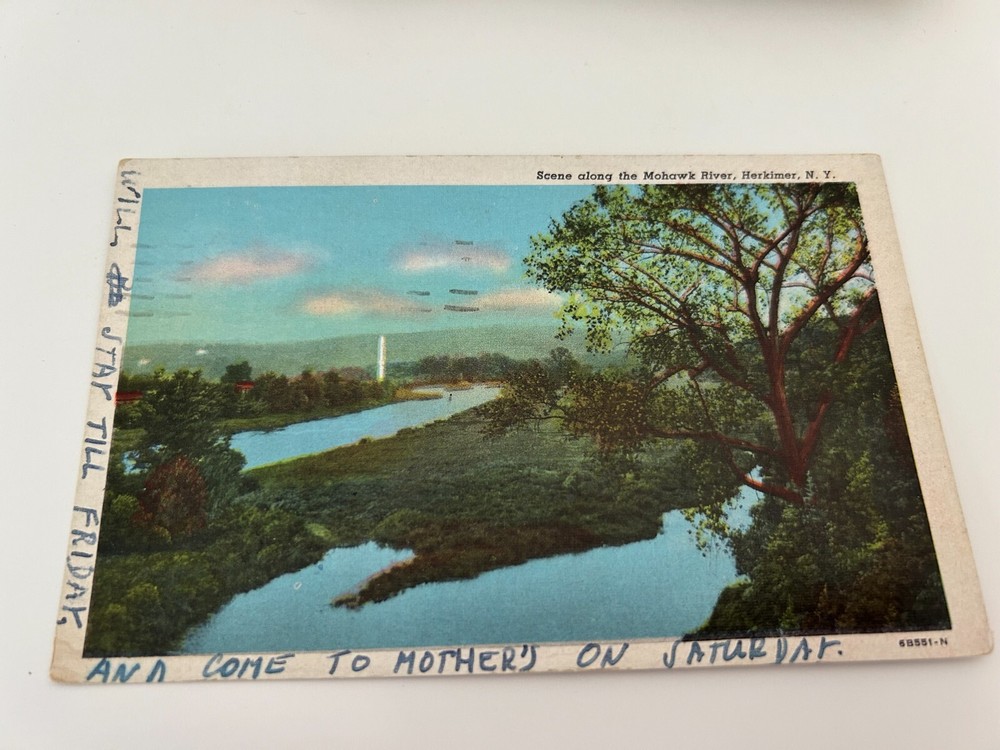 Scene along the Mohawk River Herkimer New York Postcard