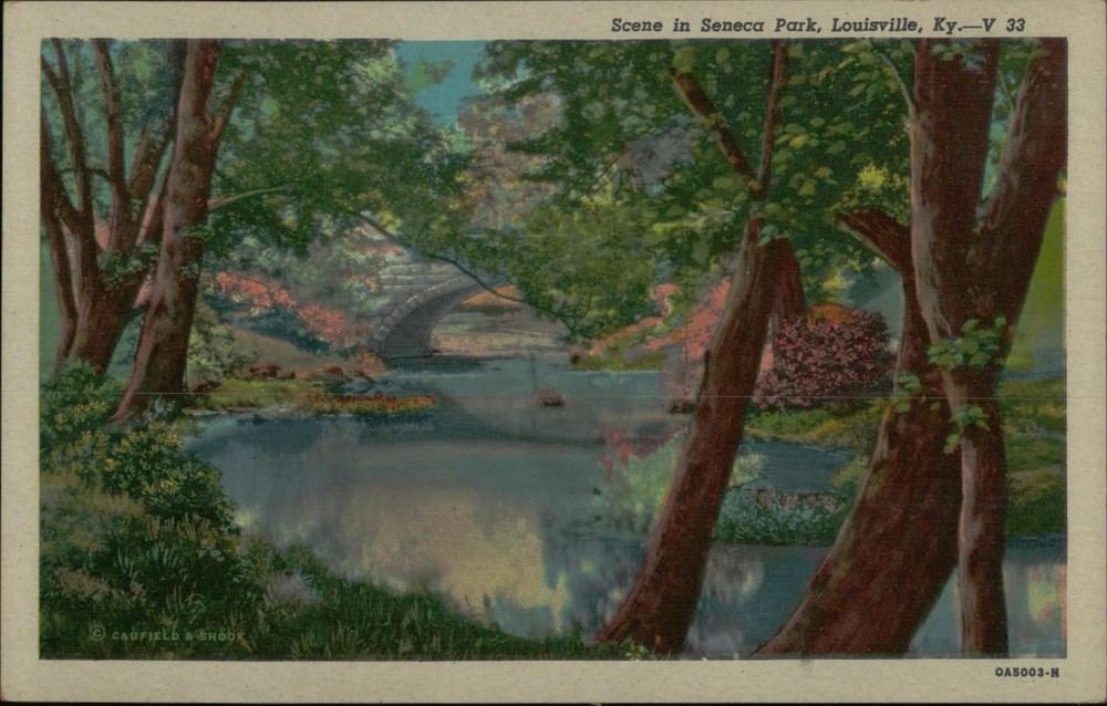Scene in Seneca Park Louisville KY Postcard Curteich Chicago Unposted Vintage