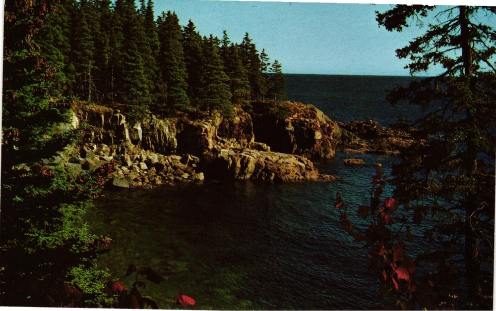 Vintage Postcard- Acadia National Park, Maine. 1960s-image