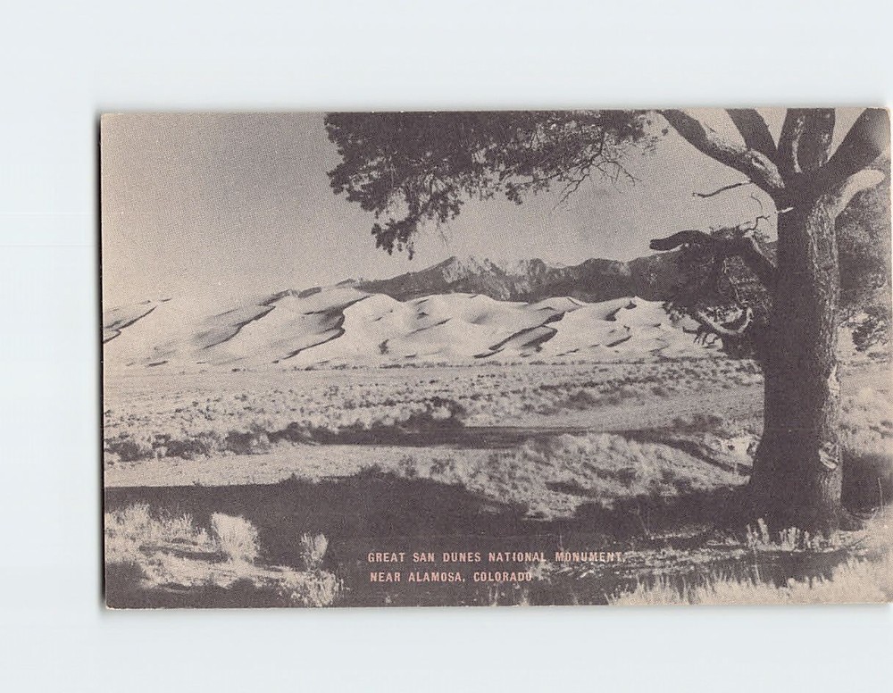 Postcard Great San Dunes National Monument near Alamosa Colorado USA