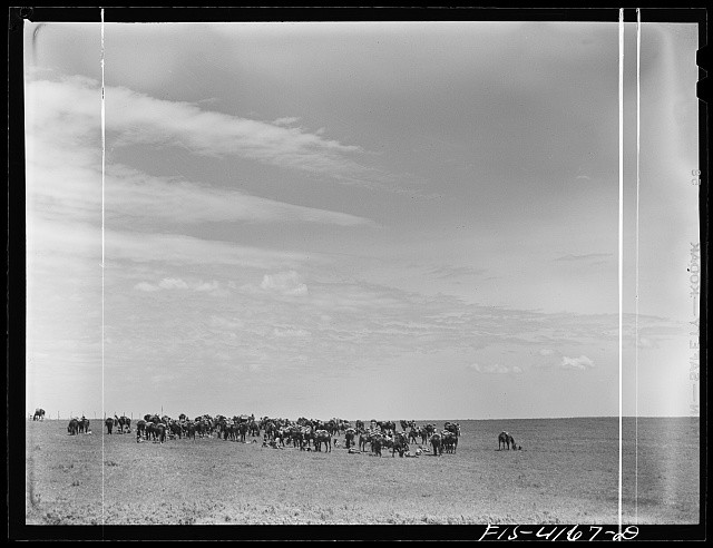 Photo:Fort Riley Kansas Cavalry Field Problem 1942 Troops on Open Plain