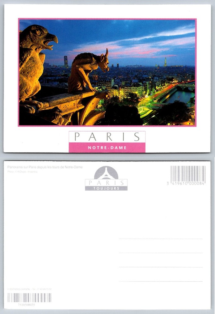 Paris Notre-Dame Gargoyles Eiffel Tower Sunset Postcard France View