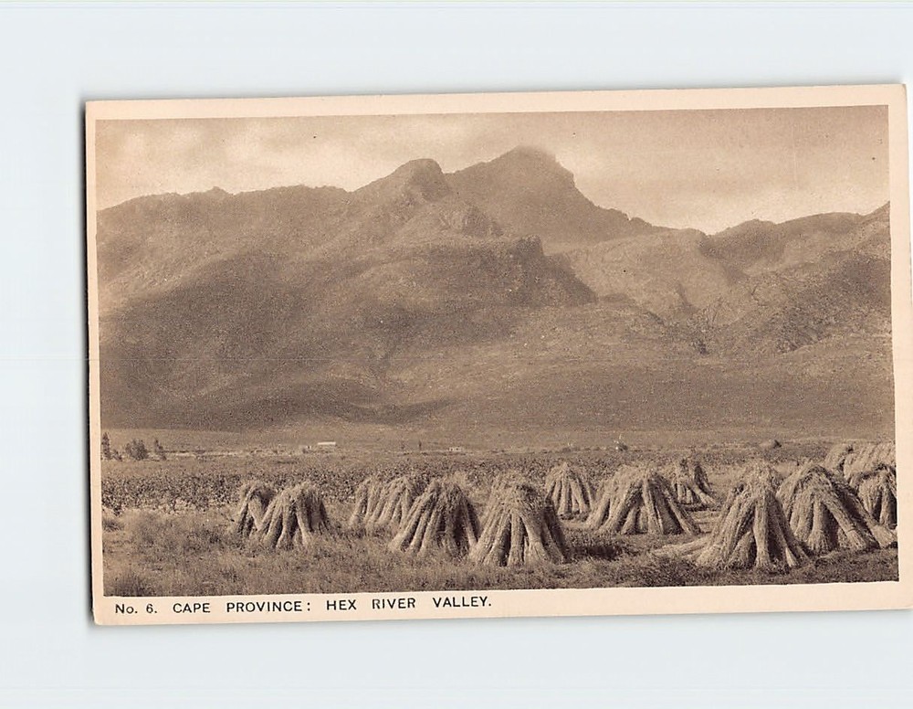 Postcard Hex River Valley Cape Province South Africa