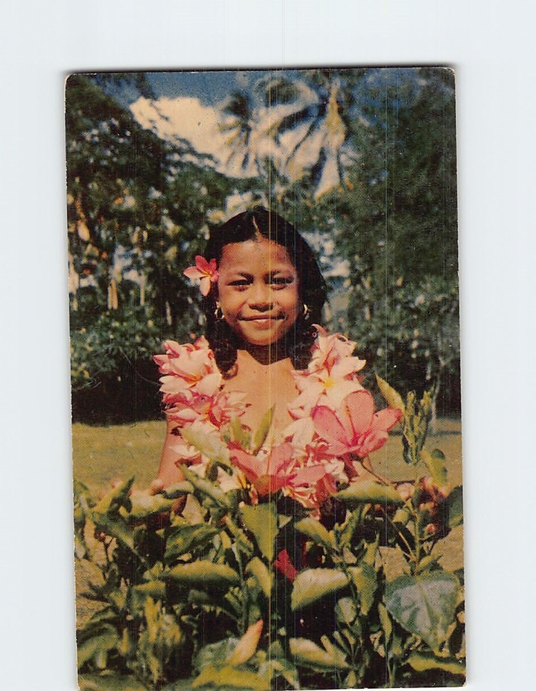 Postcard The Flower of Rarotonga Cook Islands