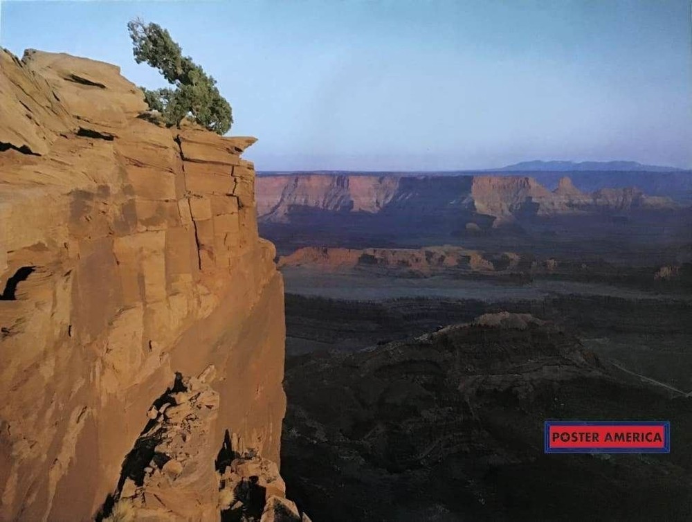 662561 Sunset On The Grand Canyon And Lonely Tree Photo Wall Print Poster