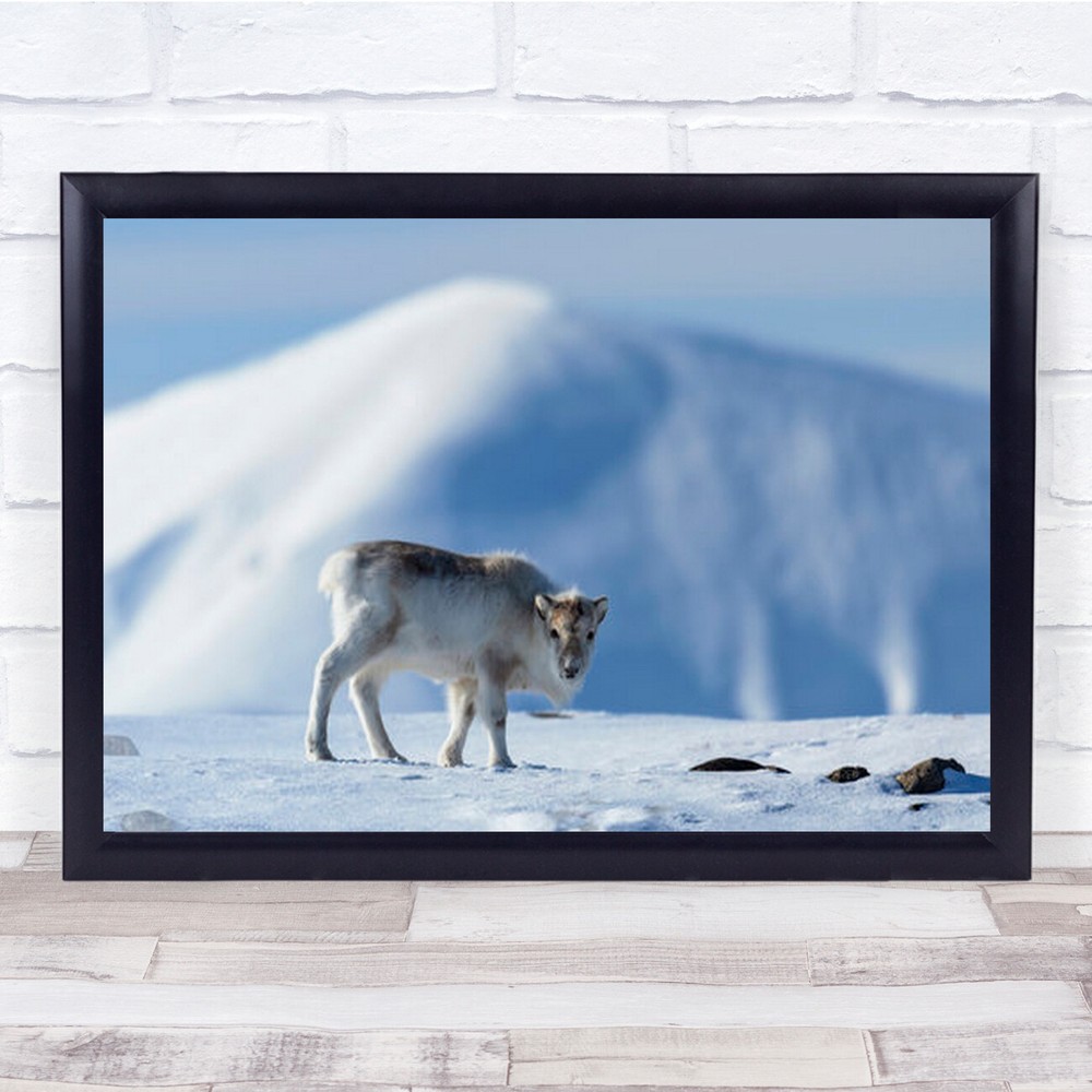 Arctic Deer Snowy Mountain Wall Art Print