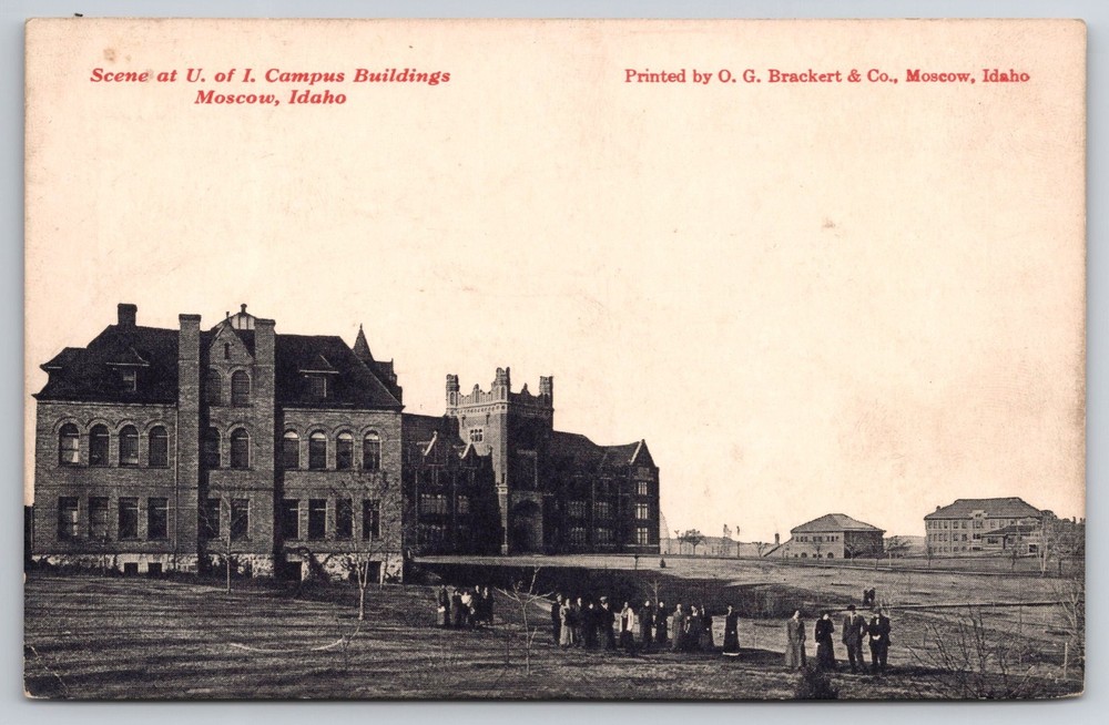 1900's Campus University Idaho Moscow Idaho postcard