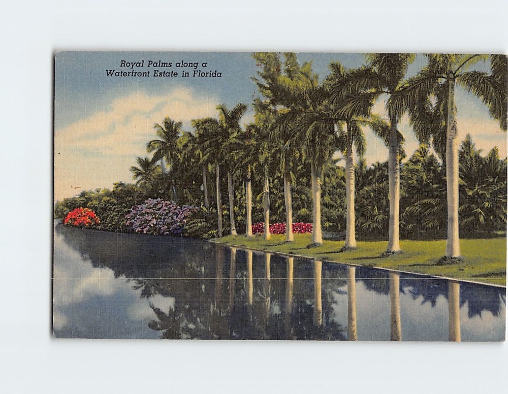 Postcard Royal Palms Along A Waterfront Estate Florida USA