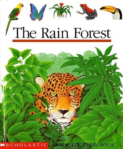 The Rain Forest (First Discovery Bo..., Jeunesse, Galli