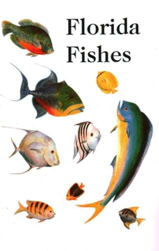 Saltwater Florida Fishes by Rube Allyn: Used