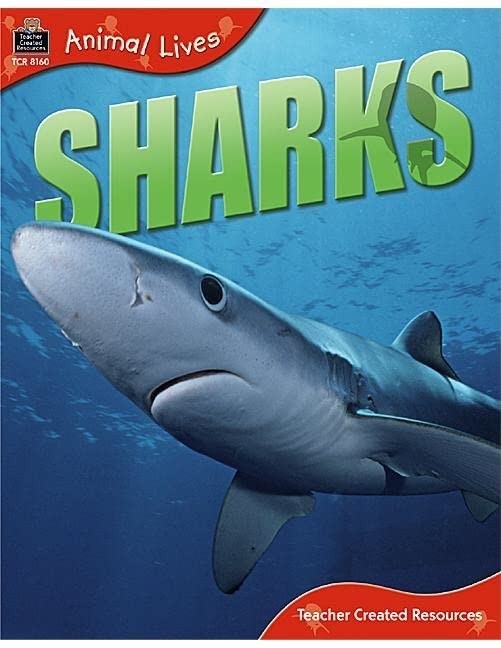 Animal Lives Sharks Qeb Animal - ACCEPTABLE