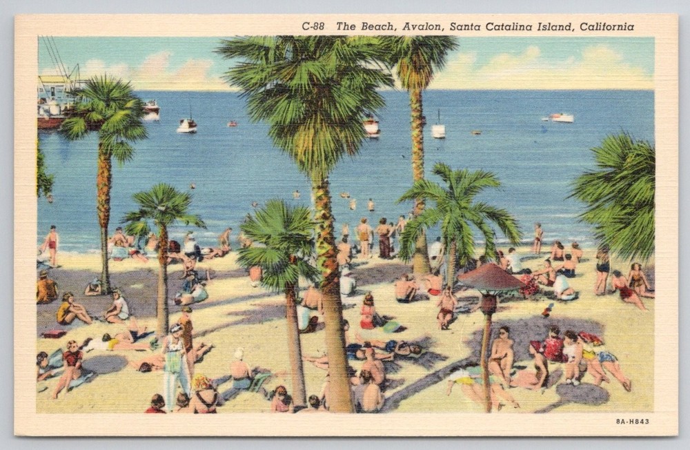 Avalon Beach Santa Catalina Island CA Linen Postcard 1930s Palm Trees