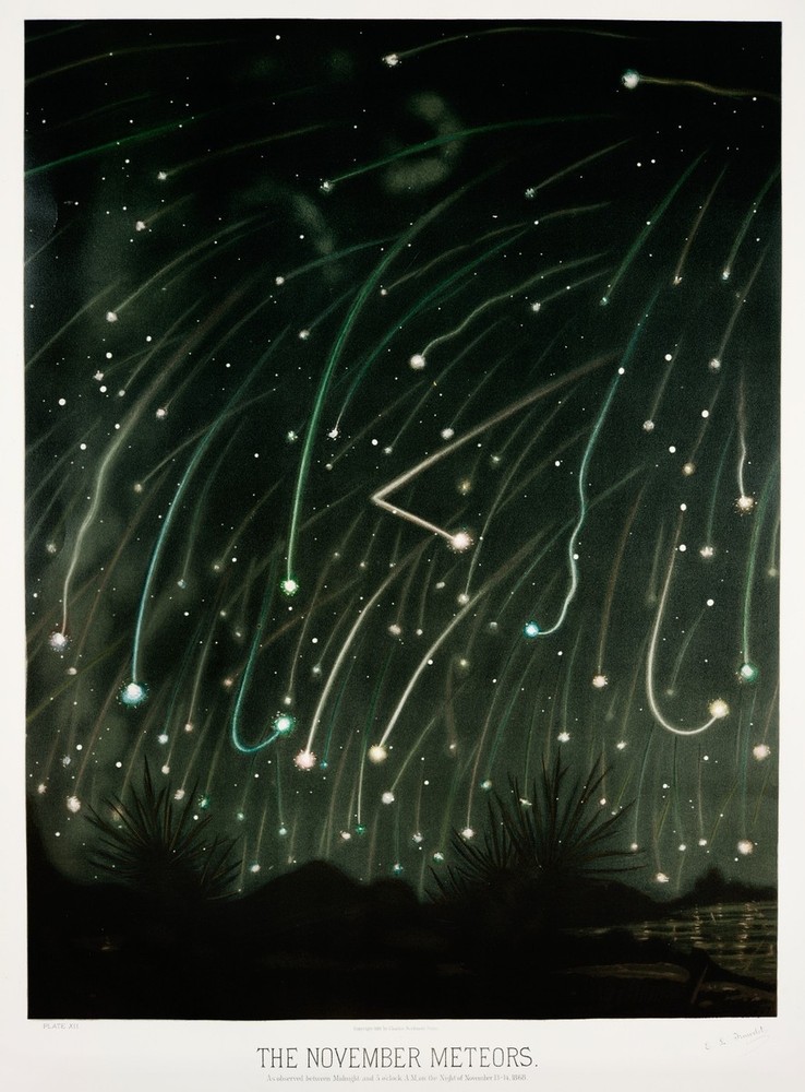 November Meteors Trouvelot 1881 Vintage Astronomy Wall Art
