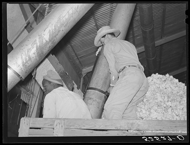 Clarksdale Mississippi Hopson Plantation 1939 Mexican Day Laborers Cotton Gin