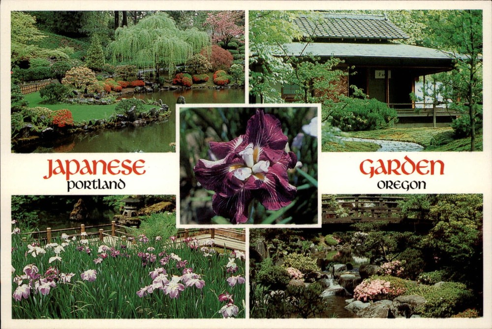 Oregon Portland Japanese Garden Iris Tea House pond ~ unused postcard sku985