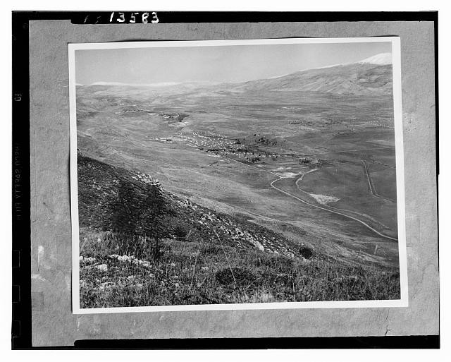 Palestine & Israel Views,1953,Middle East,Upper Galilee,Lake Huleh,Hula Valley