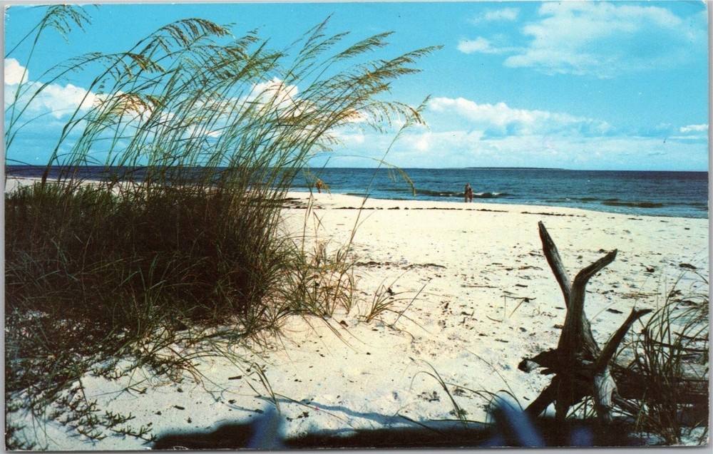 White Sandy Beach on Florida's Coast Posted 1979