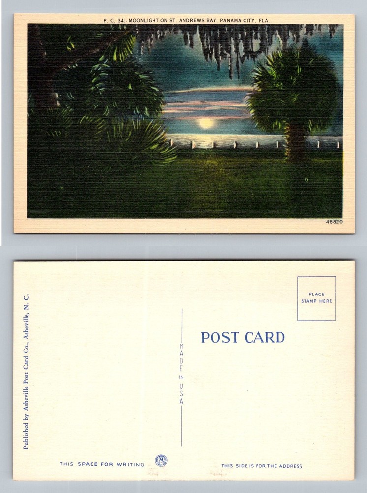 Panama City, FL-Florida, Moonlight on St Andrews Bay Palms Vintage Postcard
