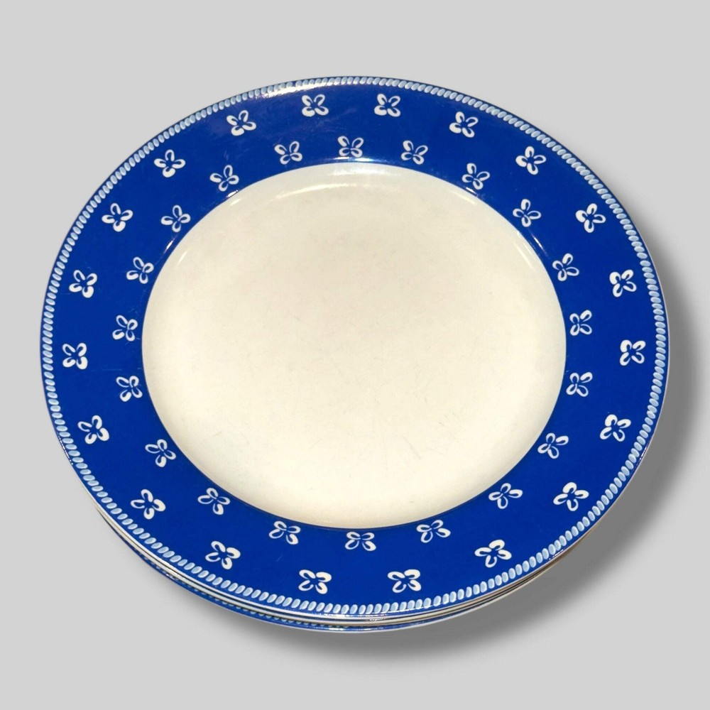 Dessina Blue Floral Rim Dinner Plates Set of 4, 10.5” | Gently Used