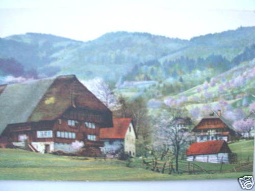 5329 AK Gutach in the Black Forest Houses around 1915