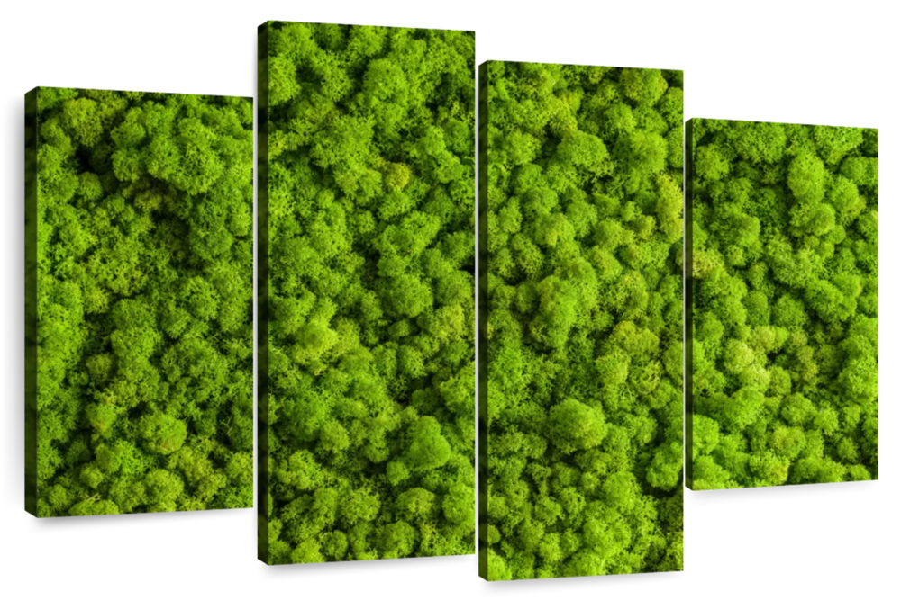 Green Reindeer Moss Wall Art