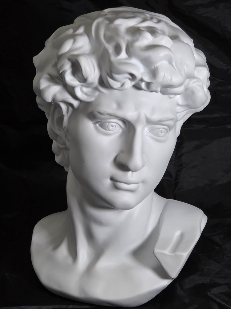 Italian Bust of David by Ennio Furiesi After Michelangelo - New Reproduction