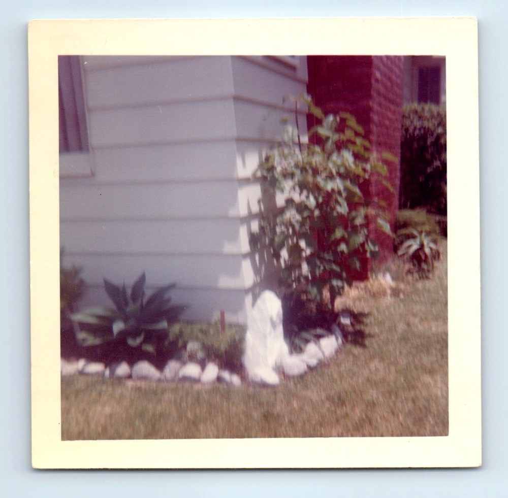 Old Vintage Square Color Photo SIDE OF HOUSE AND LAWN SNAPSHOT PHOTOGRAPH