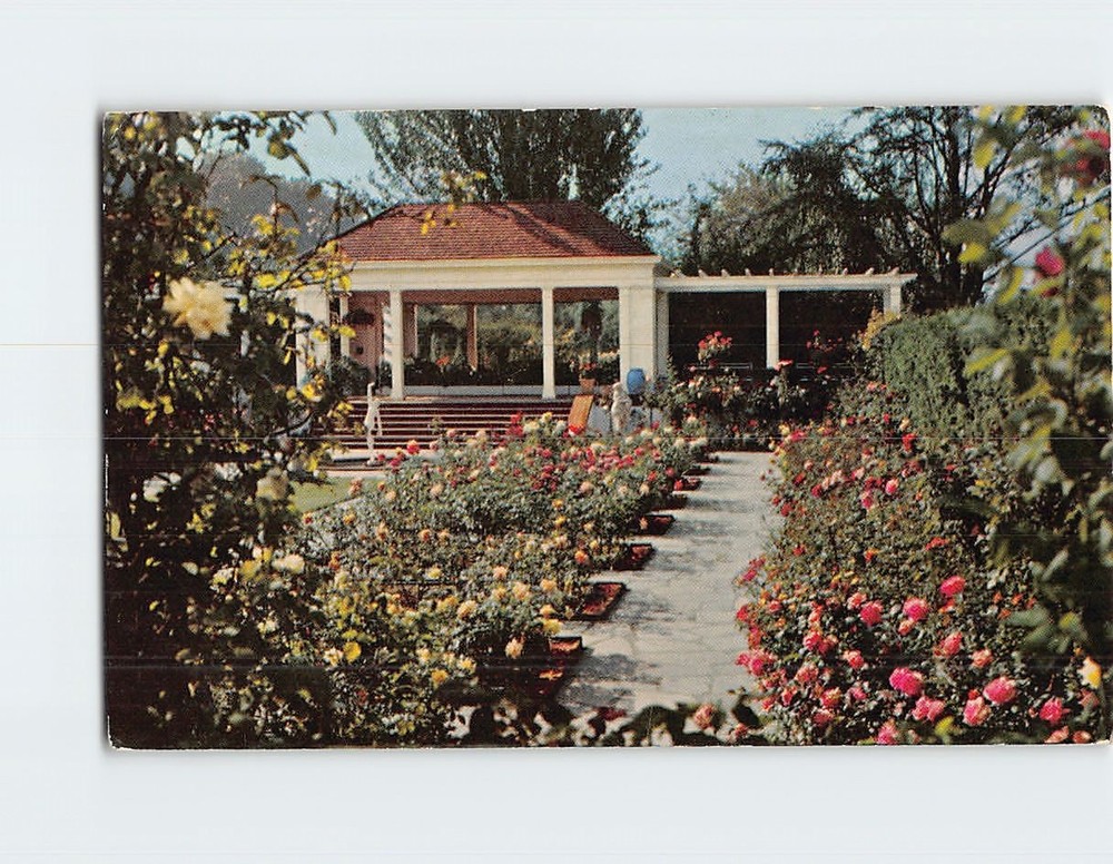 Postcard Mirrored Pergola Sunken Rose Garden Lambert Gardens Portland Oregon USA