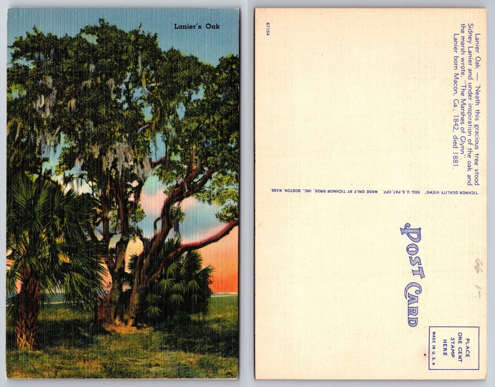 Lanier's Oak Tree Glynn GA Linen Postcard Tichnor Bros. Vintage Unposted
