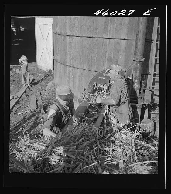 Photo:Filling Silo on Farm 1941 Sept Men Feeding Silage Near Barn