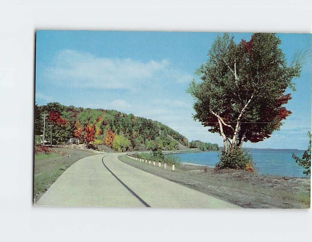 Postcard Road Trees Lake Landscape Scenery