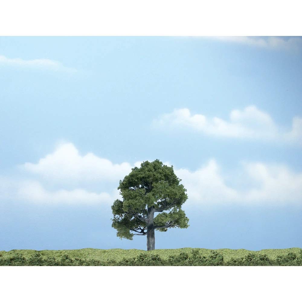 3 1/4 Inch Oak Tree for Landscaping and Shade