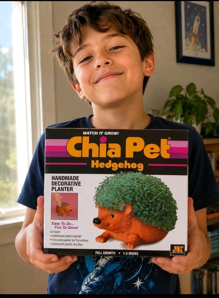 Chia Pet Hedgehog Handmade Decorative Planter EASY & FUN!