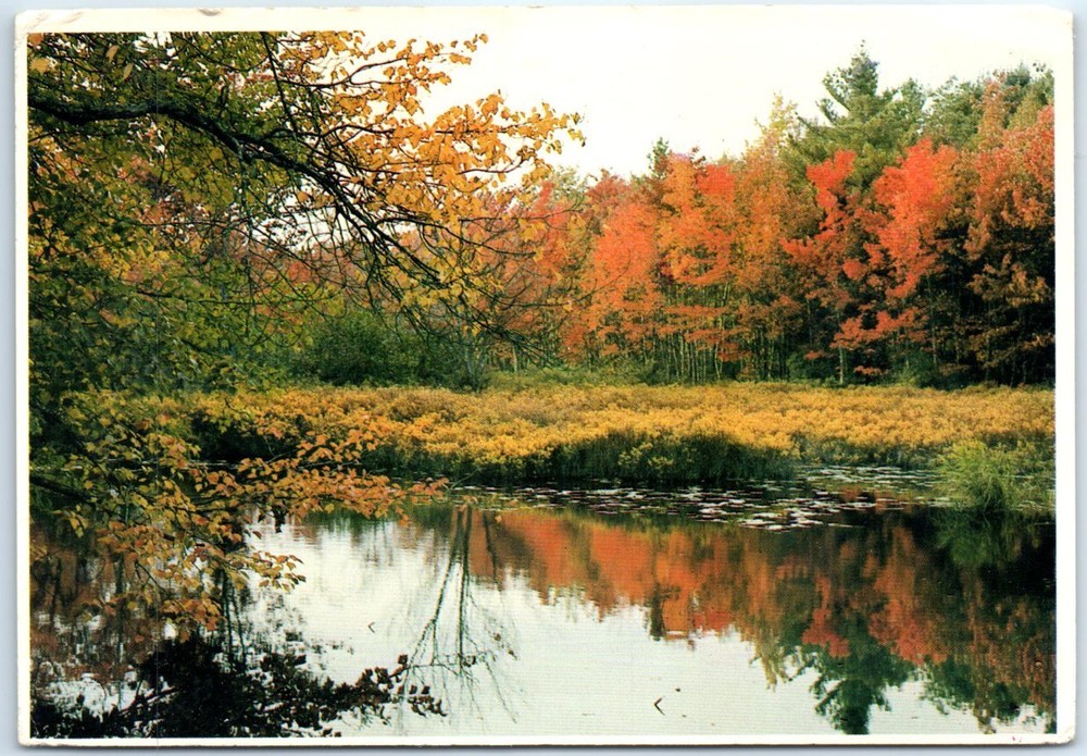 Postcard - Autumn in Maine, USA, North America