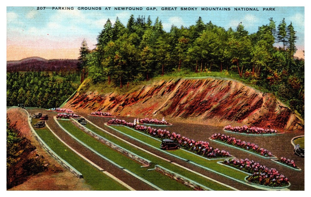 Great Smoky Mtns. Nat'l Park TN Parking Grounds Newfound Gap 207 Linen Postcard