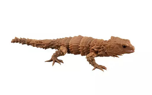 Mini Figure Armadillo Lizard 