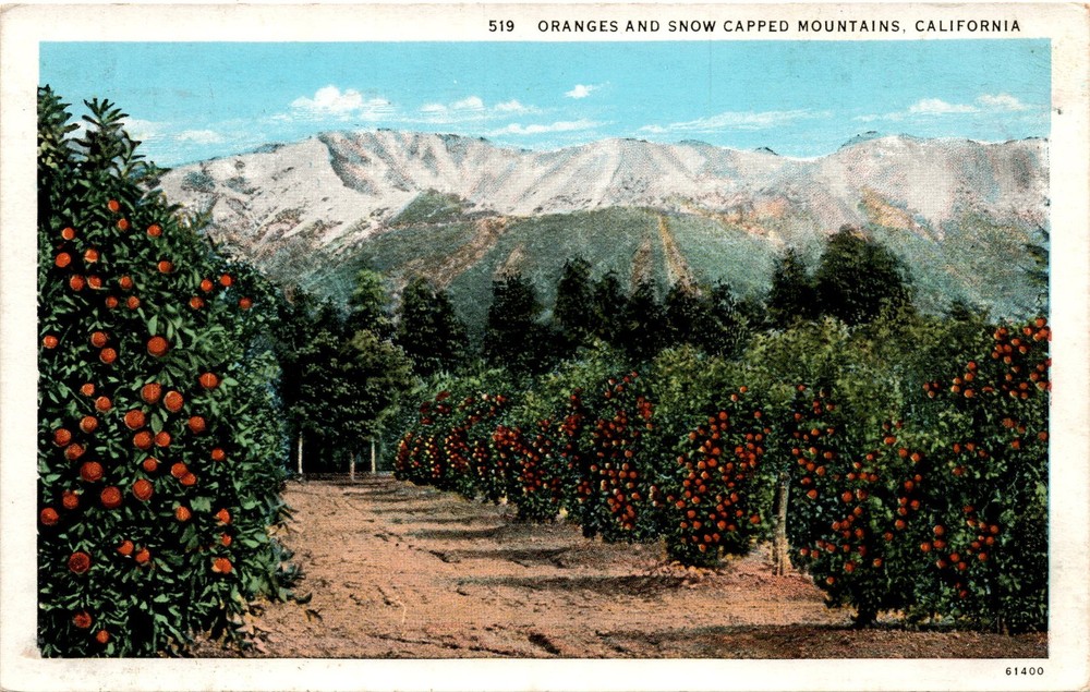 California, Los Angeles, Western Publishing & Novelty Co. Postcard